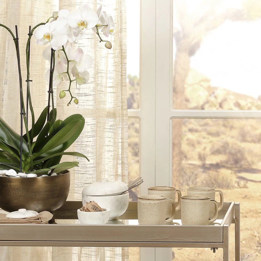 Bennett 7.25 X 6 Inch Storage Bowl With Lid, Large 8 Bennett 7.25 X 6 Inch Storage Bowl With Lid, Large - Image 8