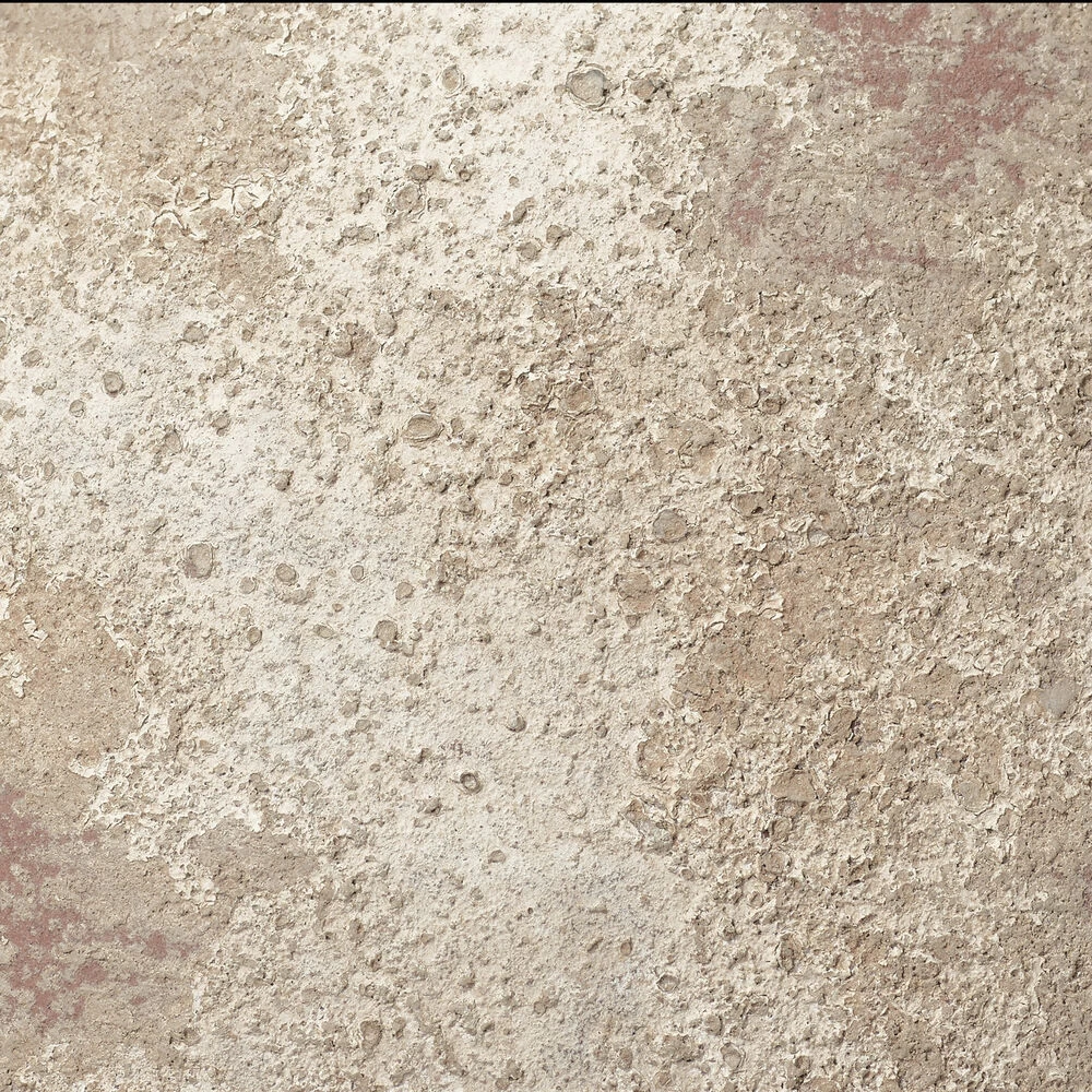 Branch 11 X 7 Inch Decorative Vase 4 Branch 11 X 7 Inch Decorative Vase - Image 4