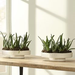 Coco 13 X 13 Inch White Ceramic Pedestal -Furnitur Jamie Young 7coco pewh 5