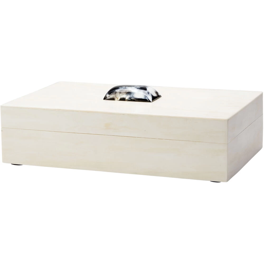 Constantine 12 X 7 Inch Cream Resin W/ Horn Accent Large Rectangle Box 1 Constantine 12 X 7 Inch Cream Resin W/ Horn Accent Large Rectangle Box