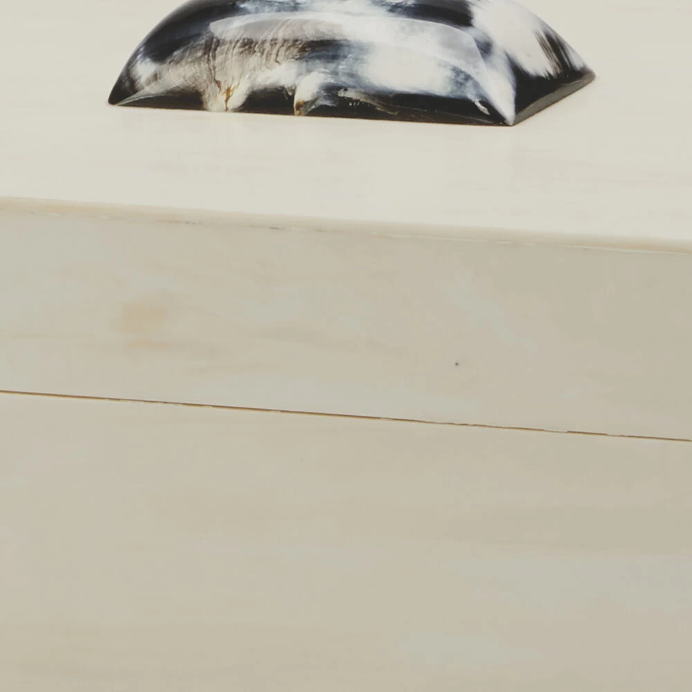 Constantine 12 X 7 Inch Cream Resin W/ Horn Accent Large Rectangle Box 2 Constantine 12 X 7 Inch Cream Resin W/ Horn Accent Large Rectangle Box - Image 2