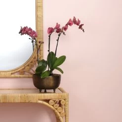 Relic 10 X 5.5 Inch Bowl, Large 13 Relic 10 X 5.5 Inch Bowl, Large -Furnitur Jamie Young 7reli lgab 5