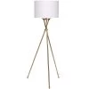 Manny 64 Inch 100.00 Watt Antique Brass Floor Lamp Portable Light