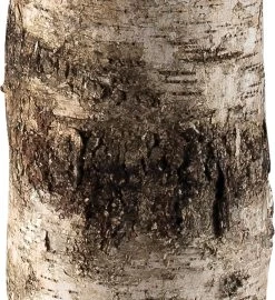 Forrester Floor Lamp -Furnitur Jamie Young md 150